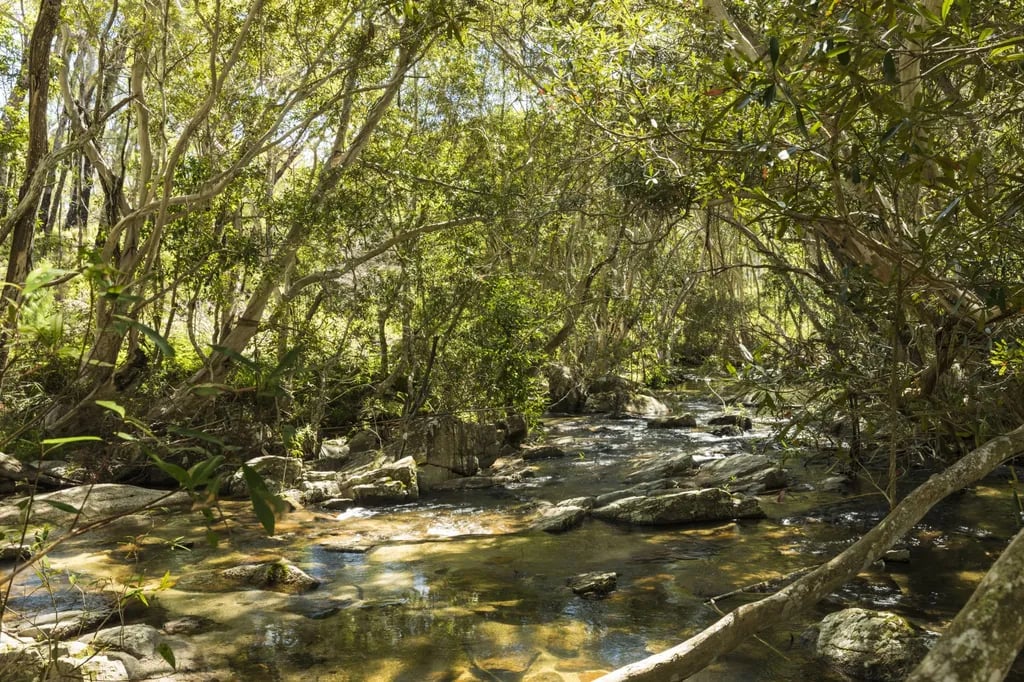 Davies Creek, Dinden National Park