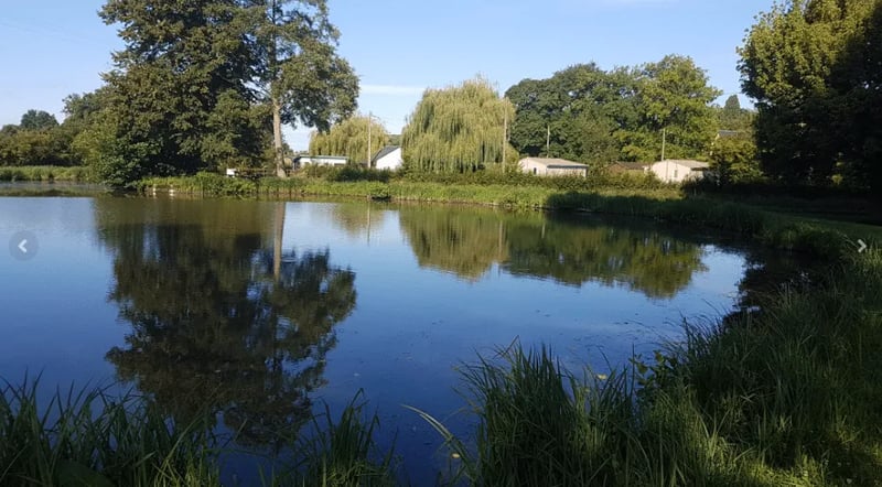 Camping de la Chesnaie gallery 3