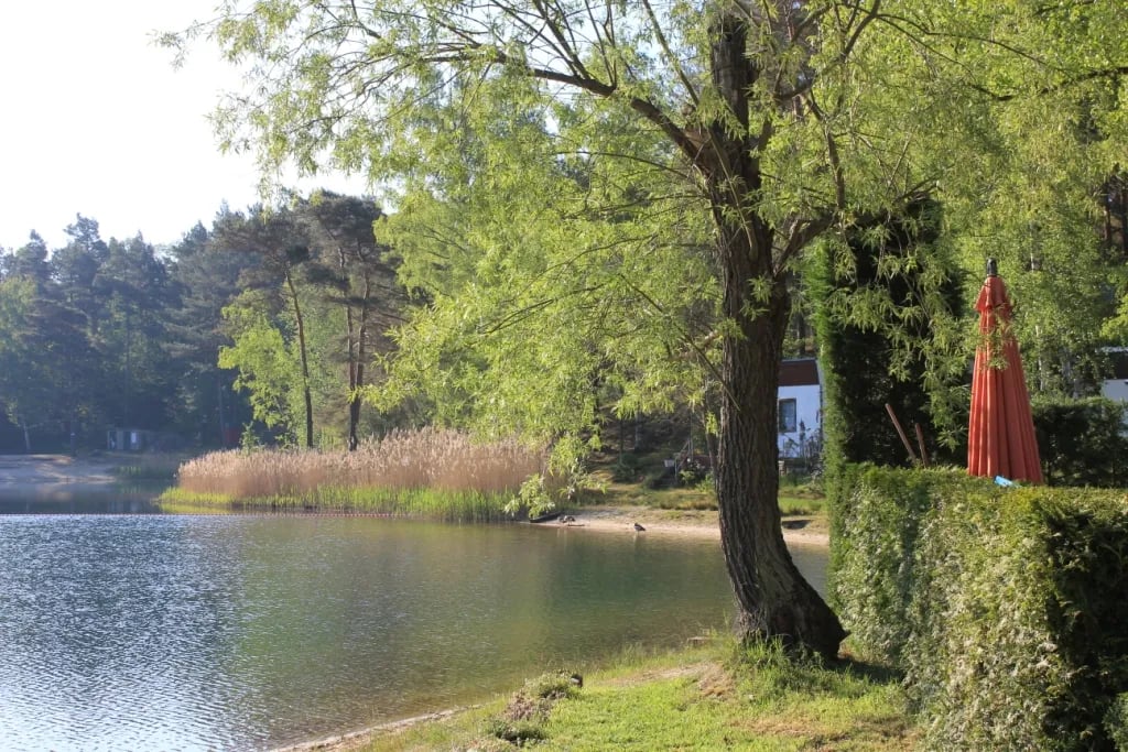 Campingplatz Waldbad Zeischa gallery 2