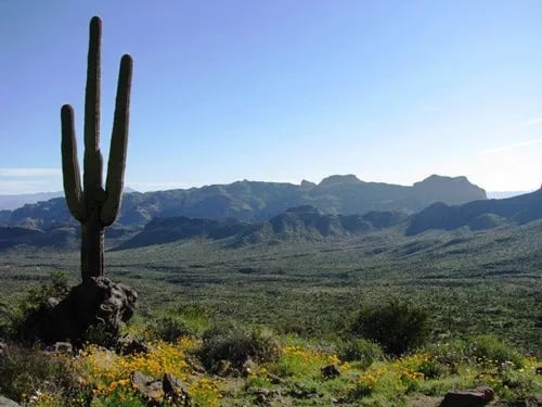 Usery Mountain Regional Park