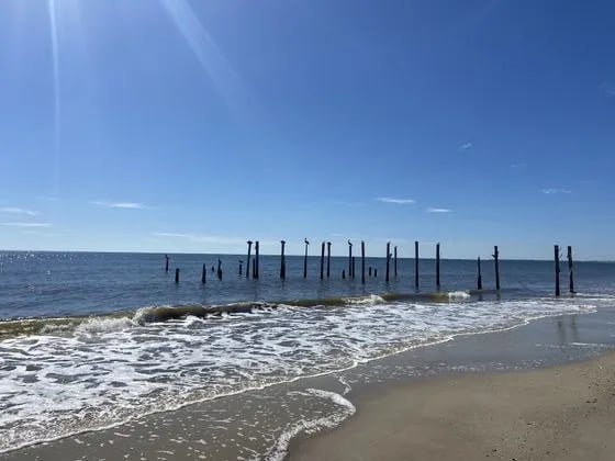 Coastal Soul RV Beach Retreat gallery 1