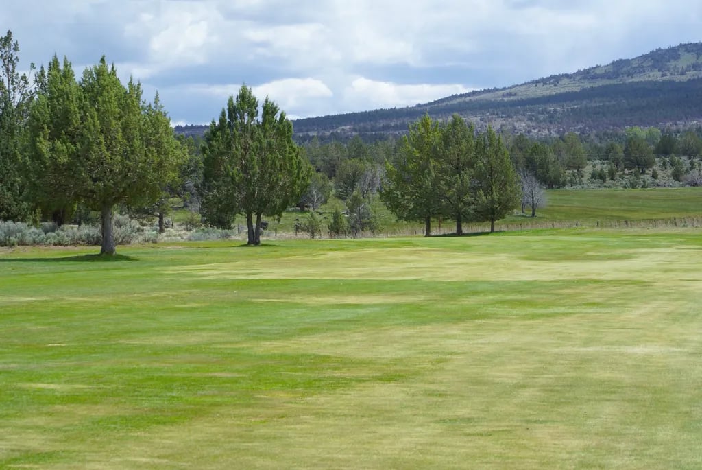 Likely Place RV and Golf Resort gallery 2