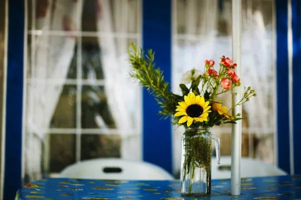 Campeggio Domus gallery 2