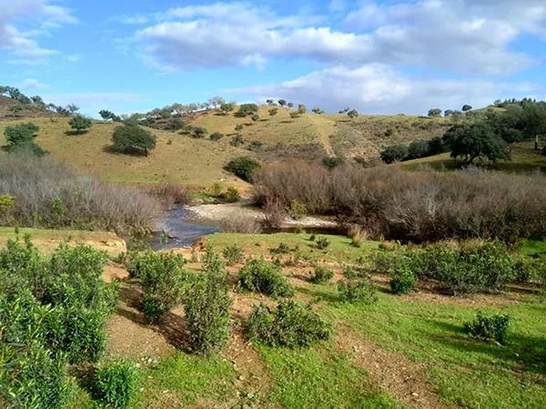 Camping Serro da Bica gallery 3