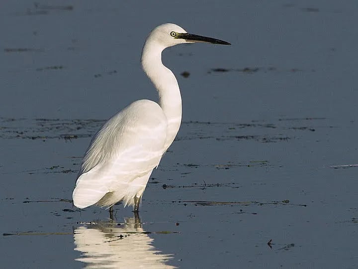 Camping Hoeve Springendal gallery 3