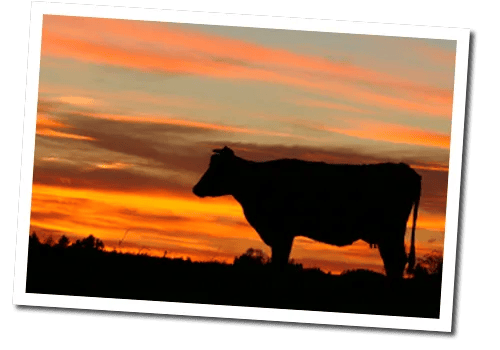 Camping Ottobeuren GmbH gallery 3