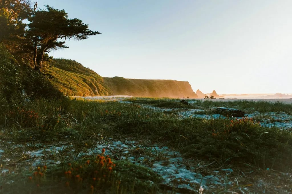 Jughandle Creek Farm gallery 2