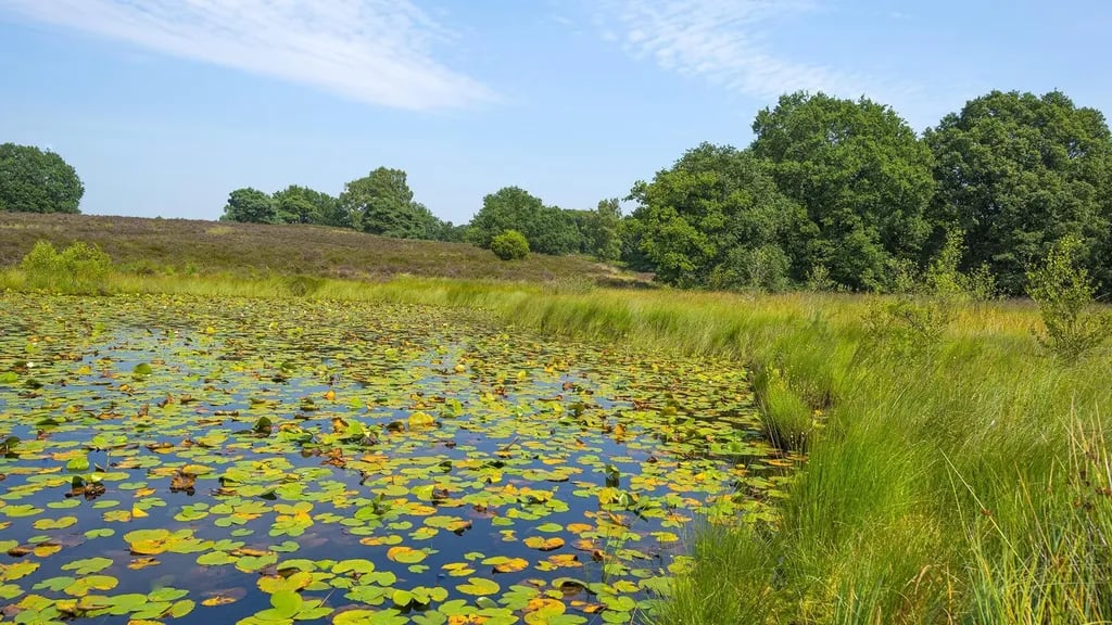 Vakantiepark Heelderpeel