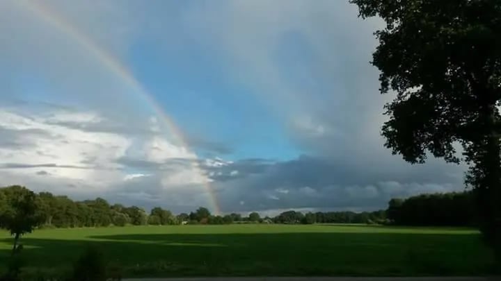 Mieke De Jong gallery 3