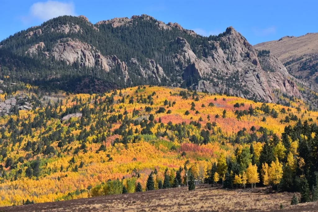 Rocking M Ranch Campground (RV Park) gallery 1