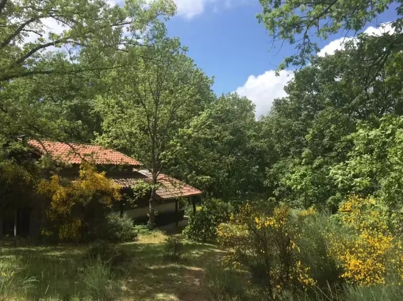 Camping El Burro Blanco gallery 2
