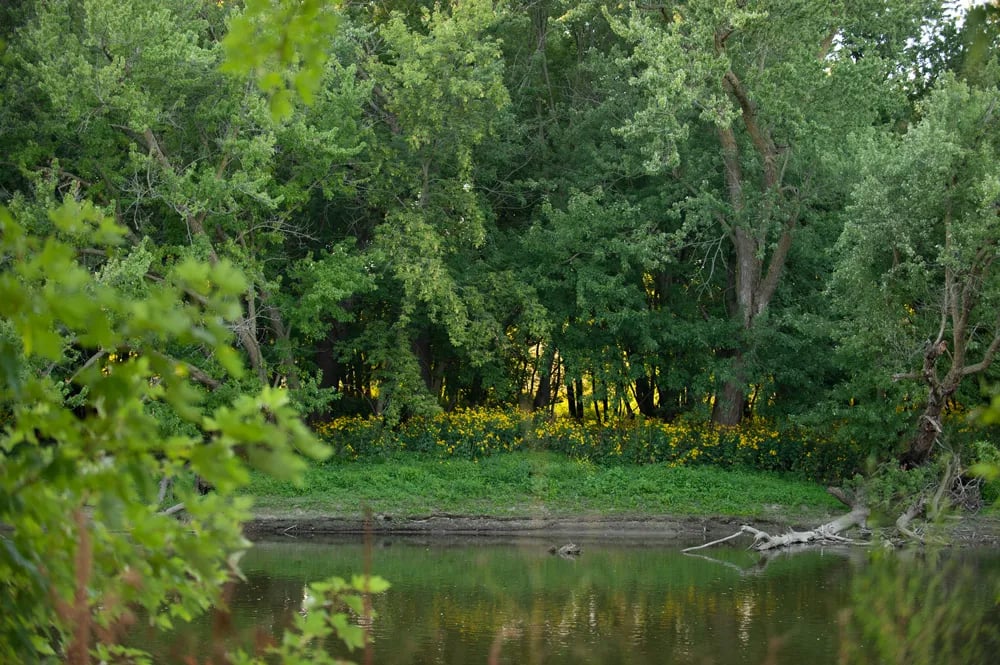 R Campground, Inc gallery 2