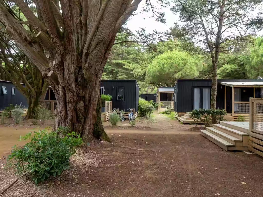 Flower Camping Tamarins Plage gallery 1