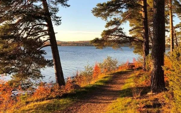 Leksand Strand Stugby & Camping gallery 2