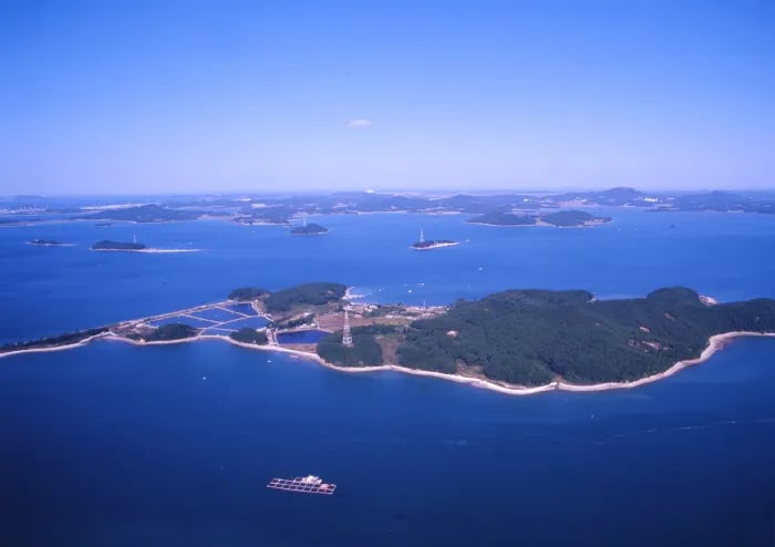 Yonghyun Nature Recreation Forest gallery 1