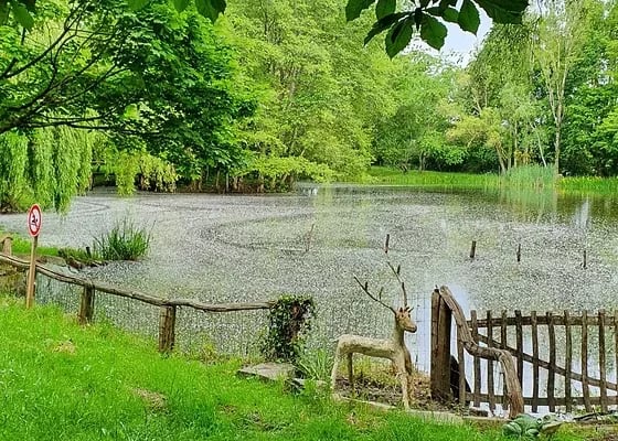 Camping La Viotterie gallery 3