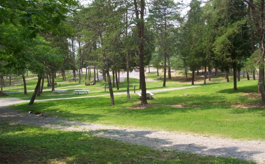 Mountain Cove Marina gallery 2