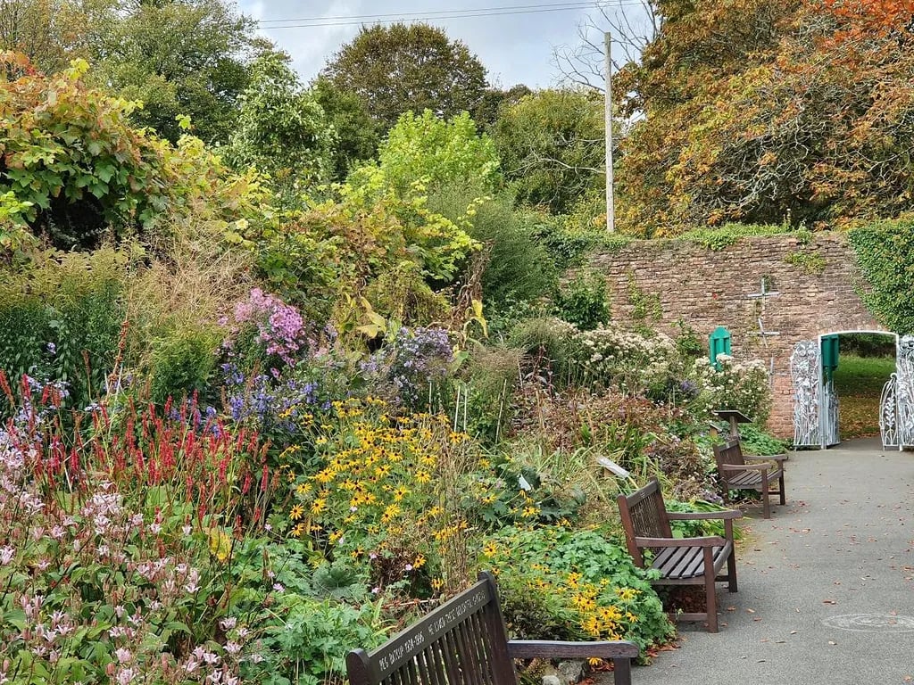 Caswell Bay Motorhomes