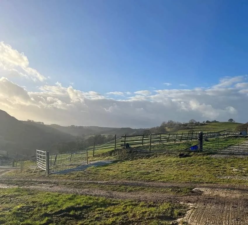 Beltonville Farm gallery 2