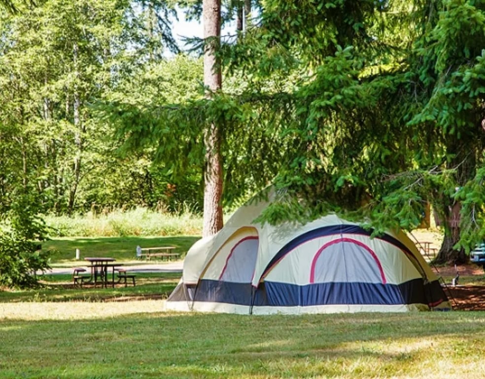 Thousand Trails Paradise RV Campground gallery 1