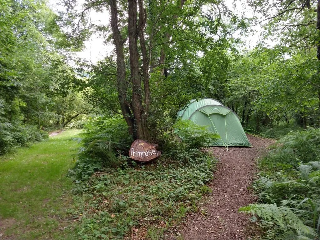 The Devon Camping Paddocks gallery 1