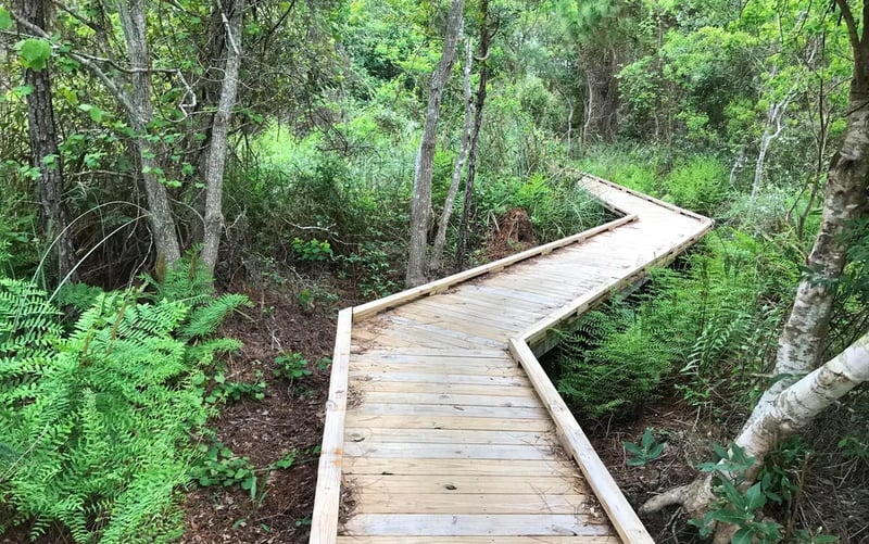 Gulf State Park Campground