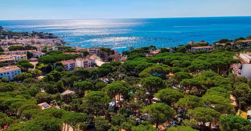 Camping Moby Dick gallery 1