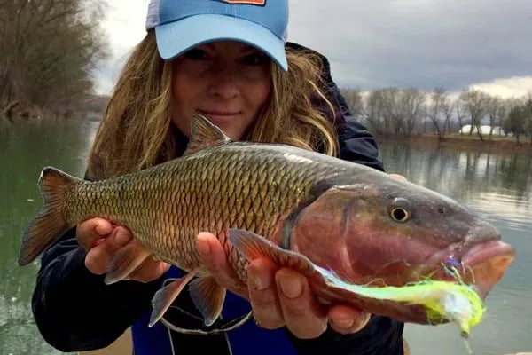 Little Red Barn Campground gallery 1