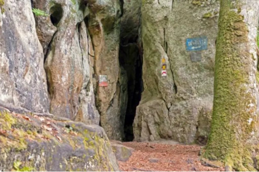 Camping La Pinède gallery 1