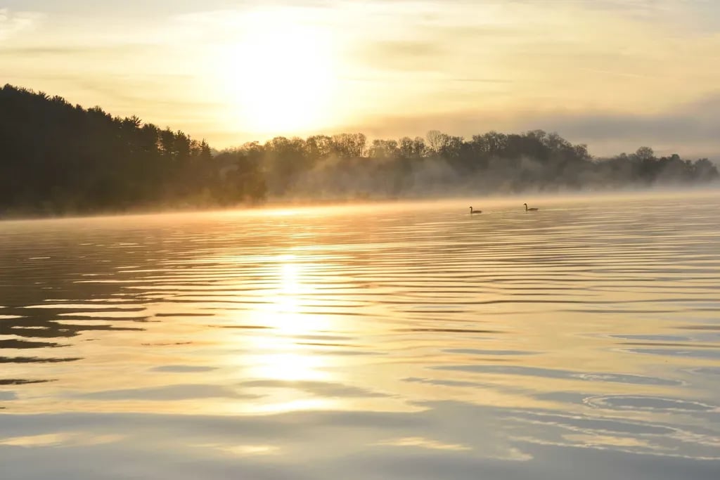Muskingum Watershed Conservancy District Piedmont Marina gallery 1