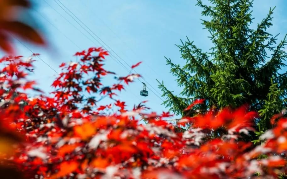 Camping Cervino gallery 2