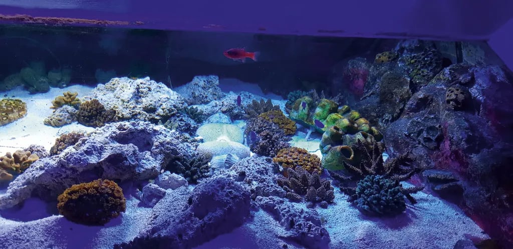 Reighton Sands Holiday Park gallery 3