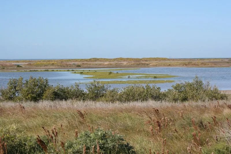 Mustang Island State Park Campground gallery 2