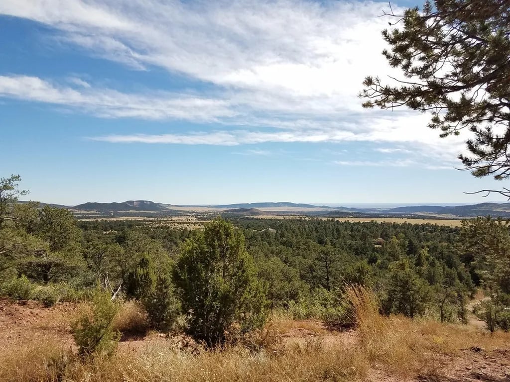 Mountaindale Cabin & RV Resort gallery 2