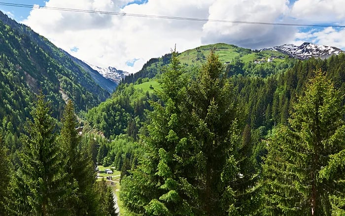 TCS Camping Disentis gallery 1