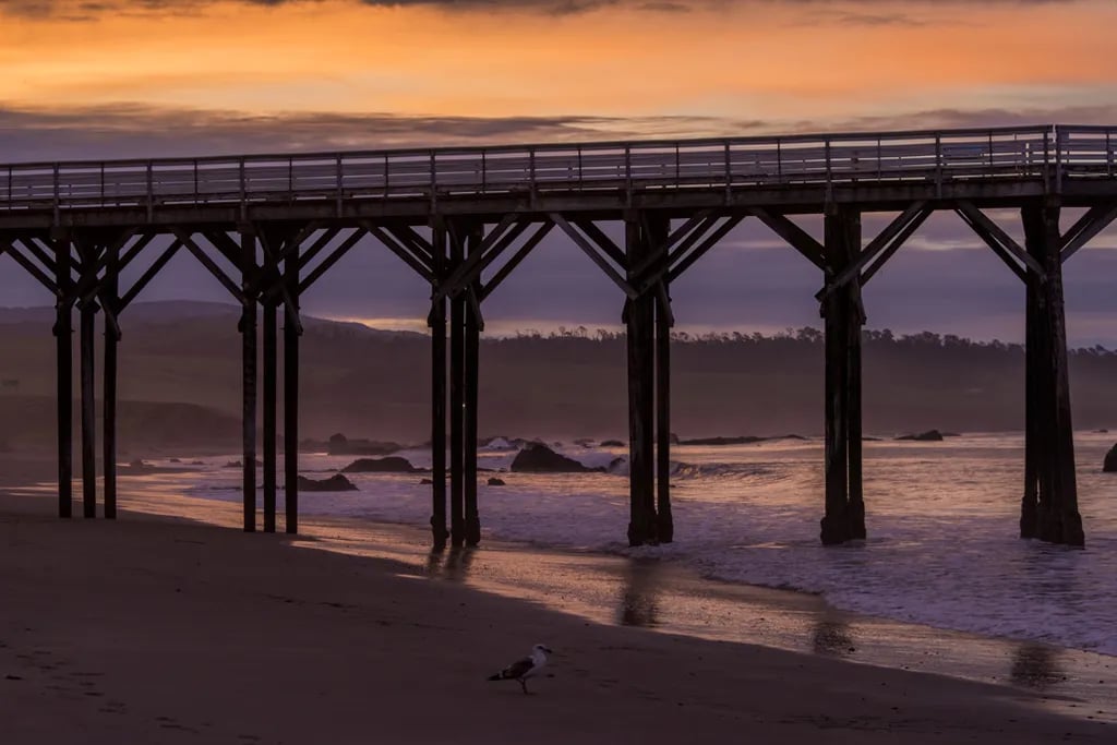 Washburn Primitive Campground — Hearst San Simeon State Park gallery 2
