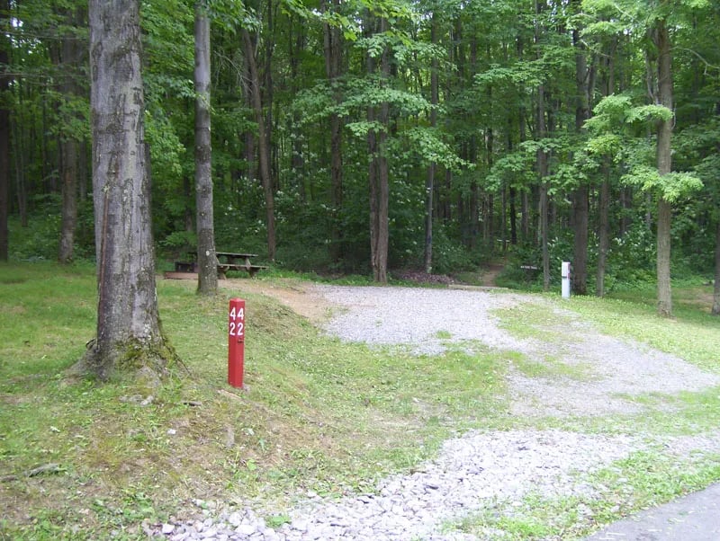 Curwensville Lake Campground gallery 1