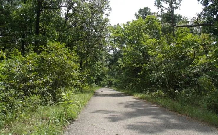 St. Joe State Park Campground gallery 2