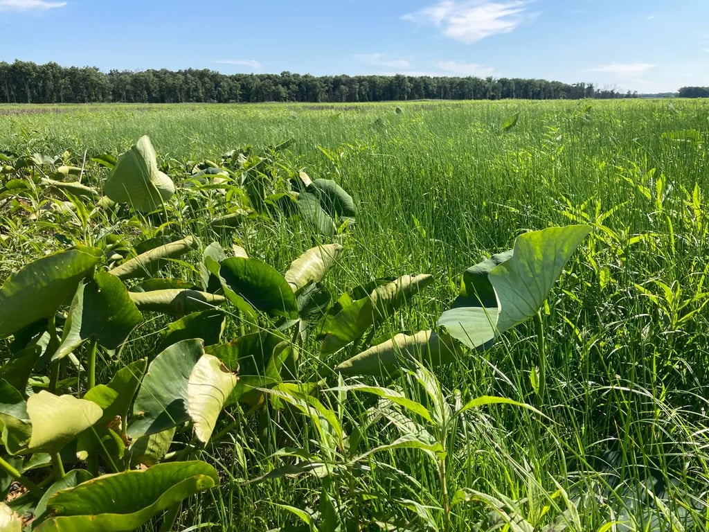 Willow Slough Fish and Wildlife Area Campground