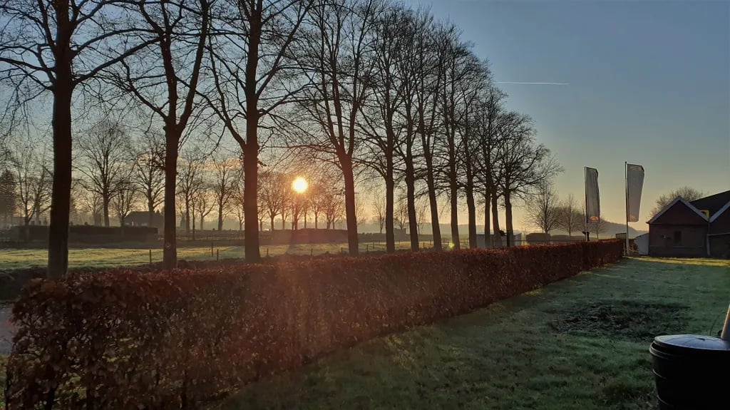 Mini Camping Blauwestadhoeve gallery 2