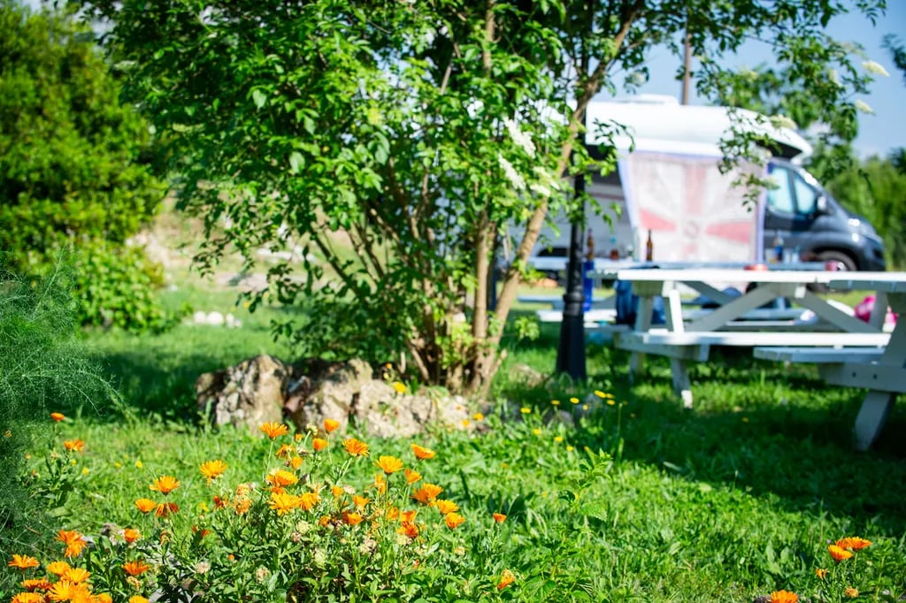 Camping Toca da Raposa gallery 1