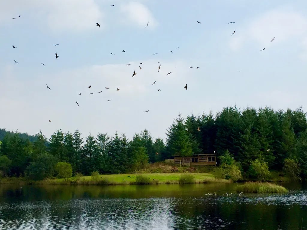 Winllan Farm gallery 2