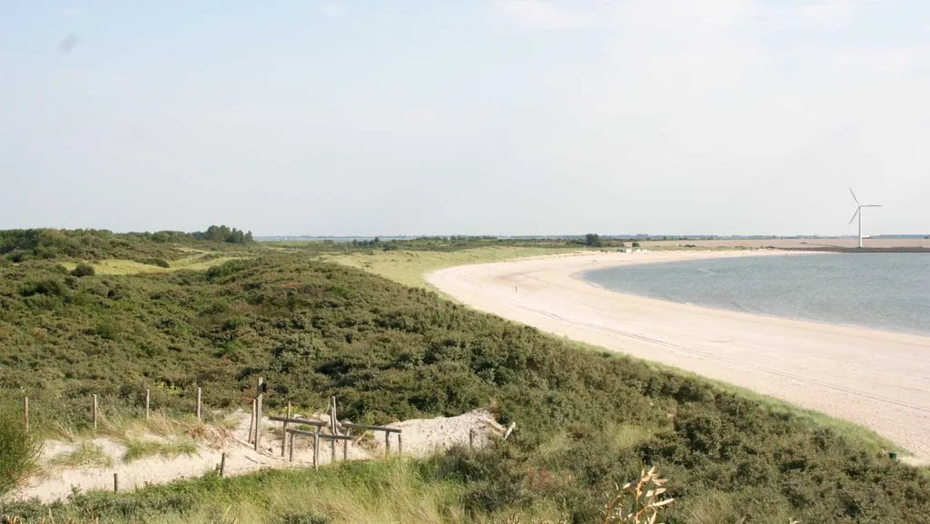 Molecaten Recreatiepark Rondeweibos gallery 1