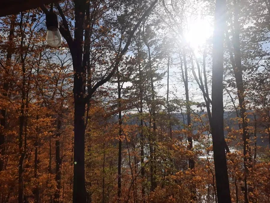 McDermit RV Park gallery 2