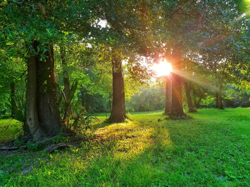 Triple-B RV Park – Magnolia