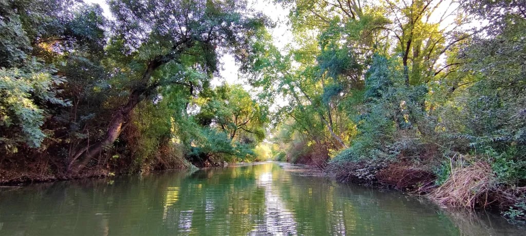 Camping Jimera de Líbar gallery 1