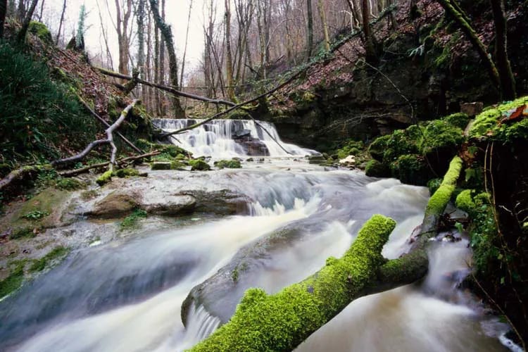 Camping Altschmiede gallery 3