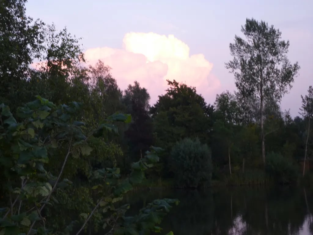 Camping De Overbetuwe gallery 3