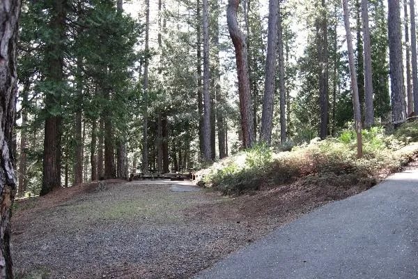 Jenkinson Campground—Sly Park Recreation Area