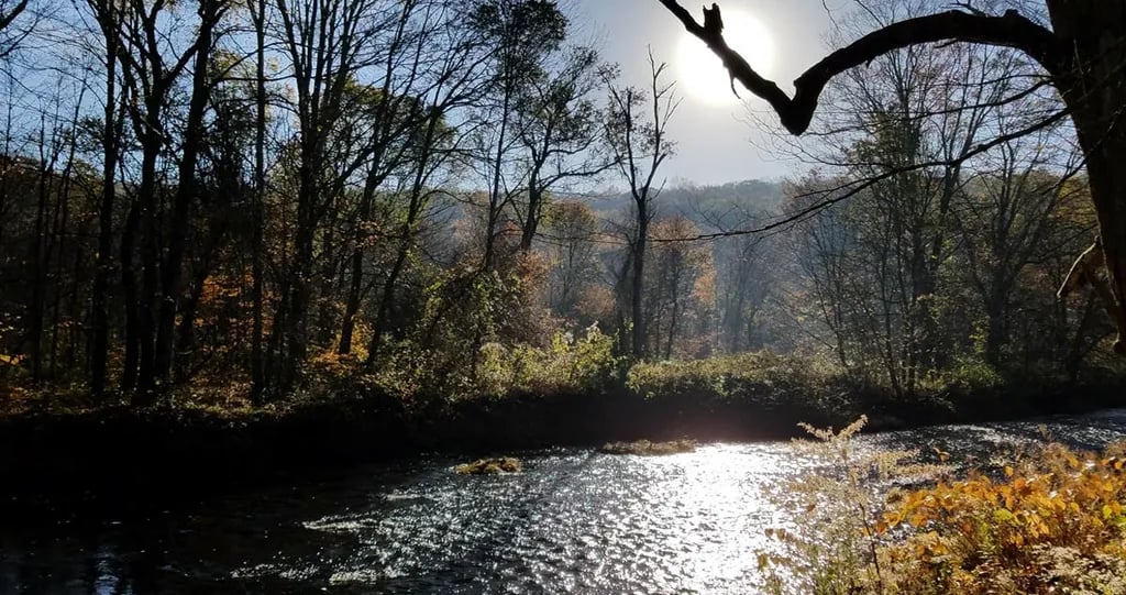 Peppertree Camping gallery 1